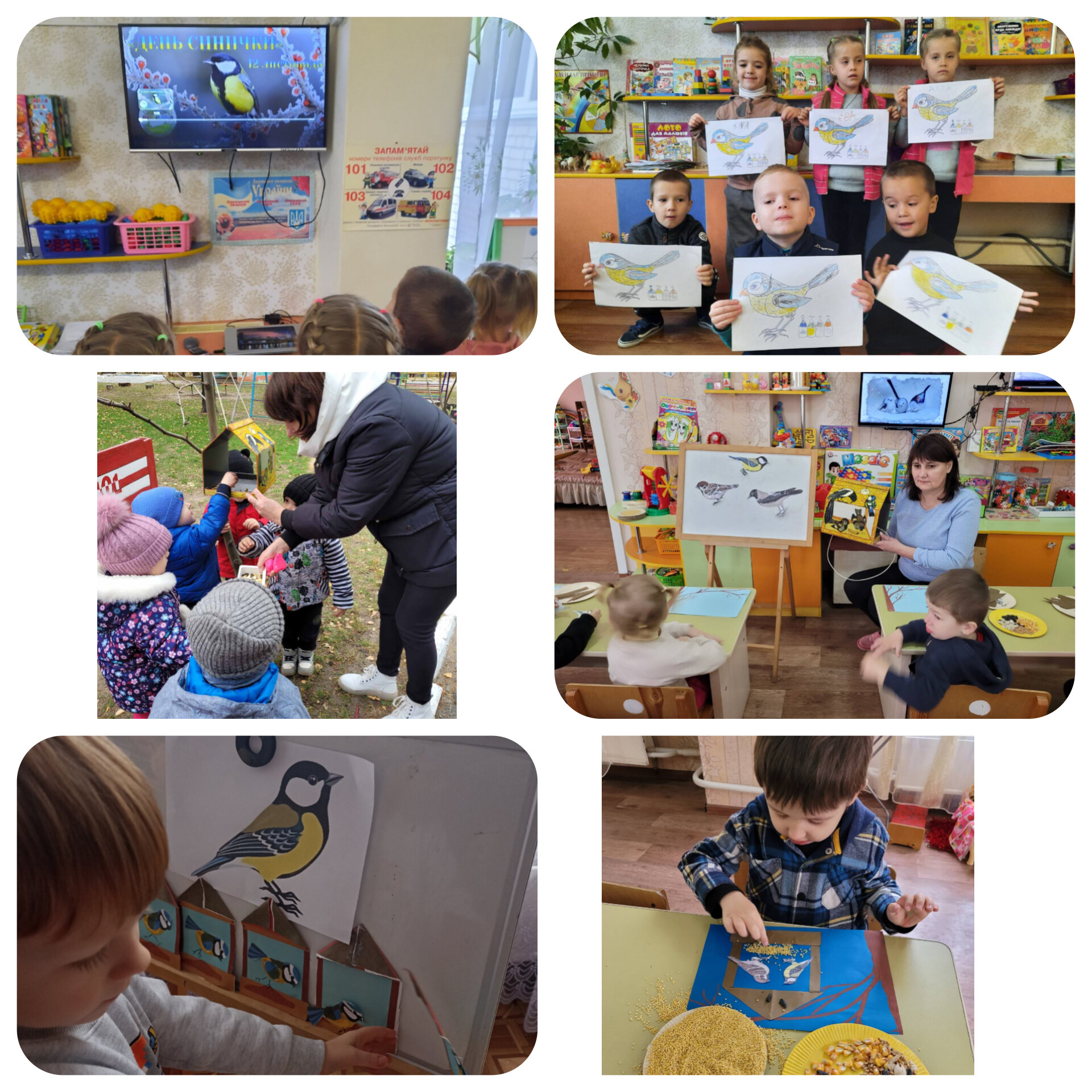 InShot_20241112_204739783